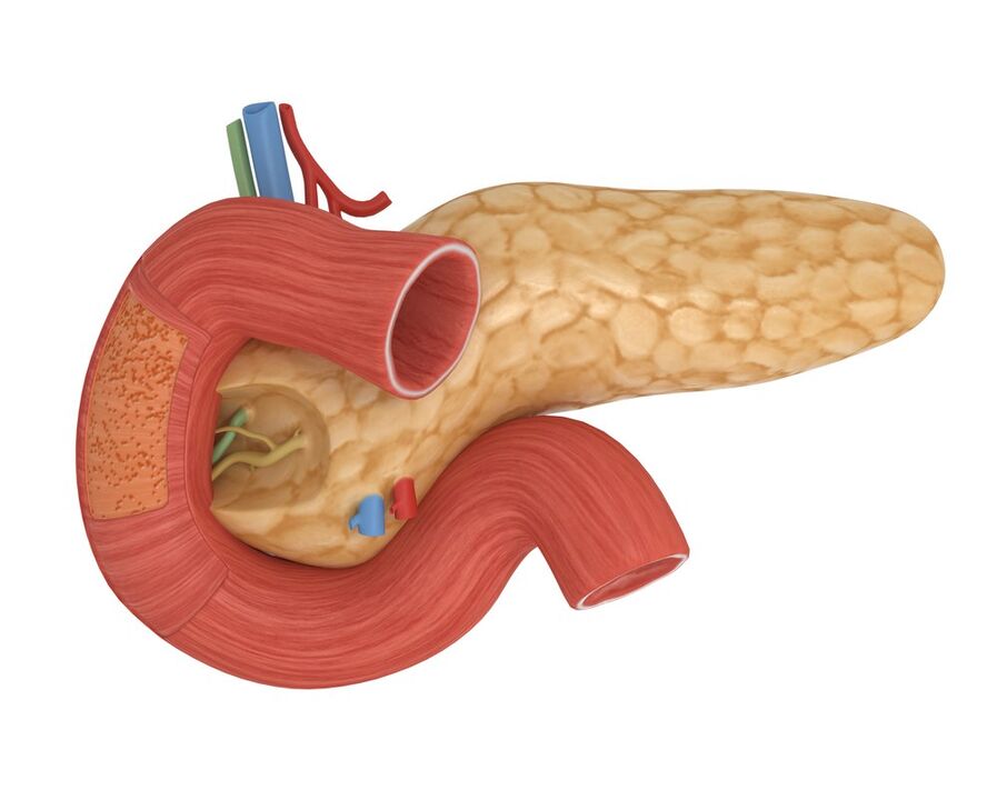 good pancreatic insulin sensitivity after taking Glucoren